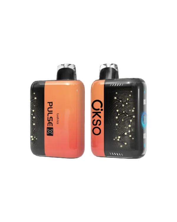 ELF BOX PLUS X ラッシュアイス味【ニコパフ】5%