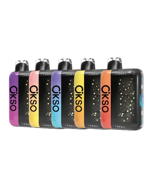 ELF BOX PLUS X バラエティパック（売れ筋TOP5 / 5本セット）