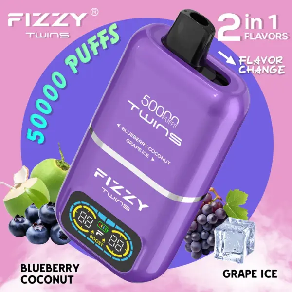 Fizzy Twins 2‑Flavors ブルーベリーココナッツ＆グレープアイス【ニコパフ】5%