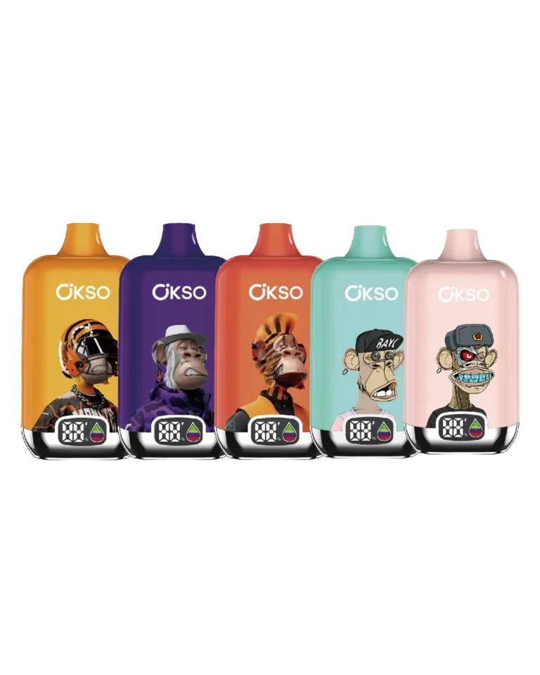 OKSO 人気フレーバー5本セット 商品画像