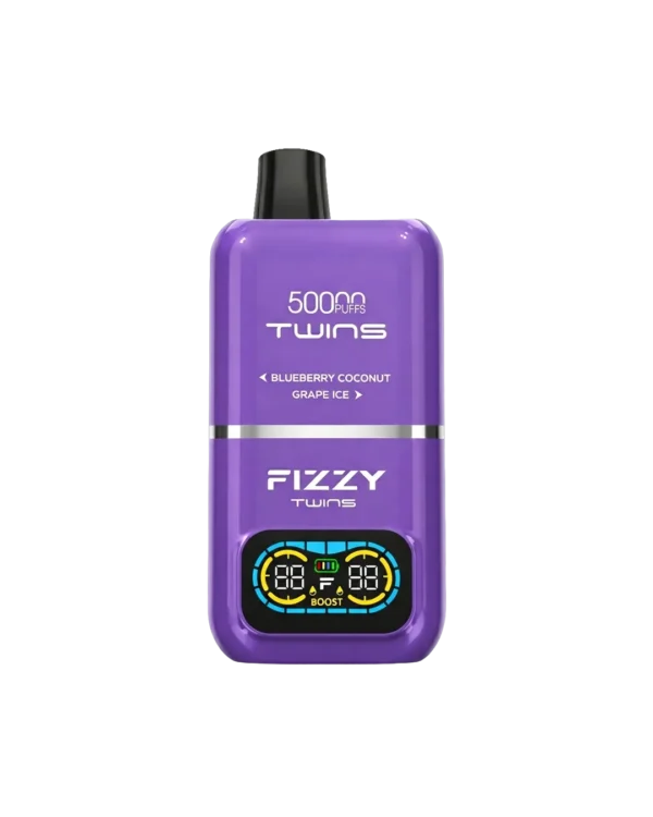 Fizzy Twins 2‑Flavors ブルーベリーココナッツ＆グレープアイス【ニコパフ】5%