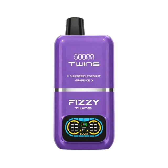 Fizzy Twins 2‑Flavors ブルーベリーココナッツ＆グレープアイス【ニコパフ】5%