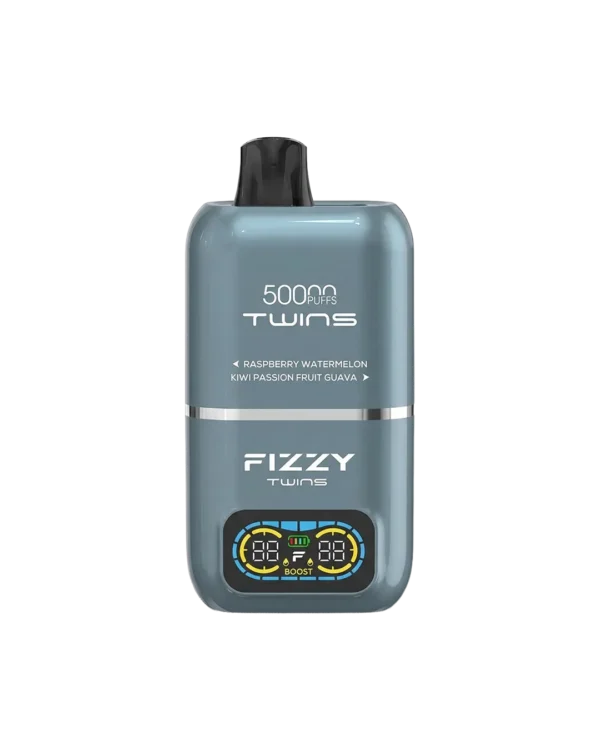 Fizzy Twins 2‑Flavors ラズベリースイカ＆キウイパッションフルーツガム【ニコパフ】5%