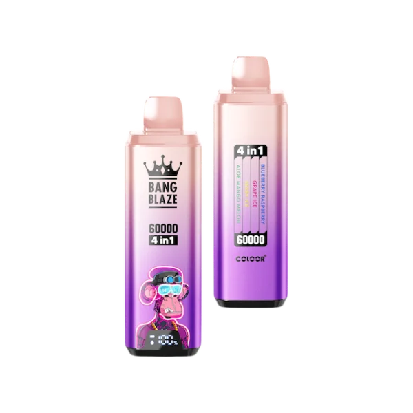 BANG BLAZE ブルーベリーラズベリー＆グレープアイス＆ミックスフルーツアイス＆アロエマンゴーメロン【ニコパフ】5%